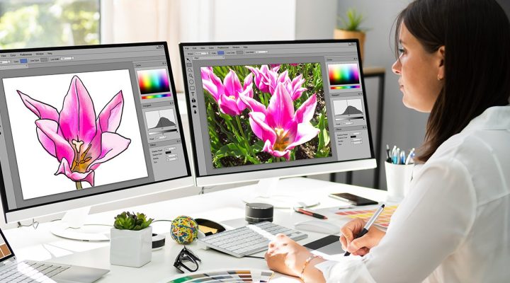 hire-graphic designer-blog