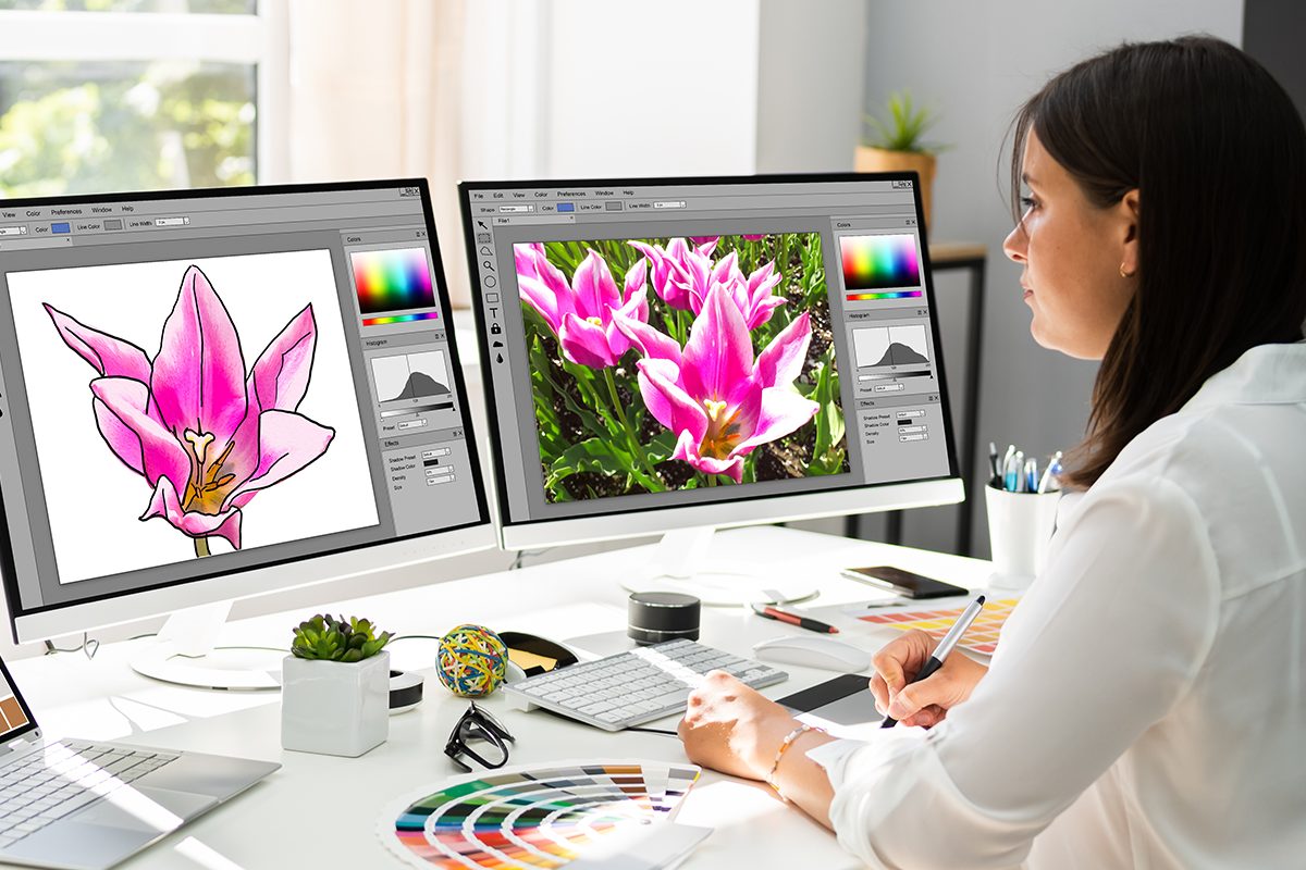 hire-graphic designer-blog